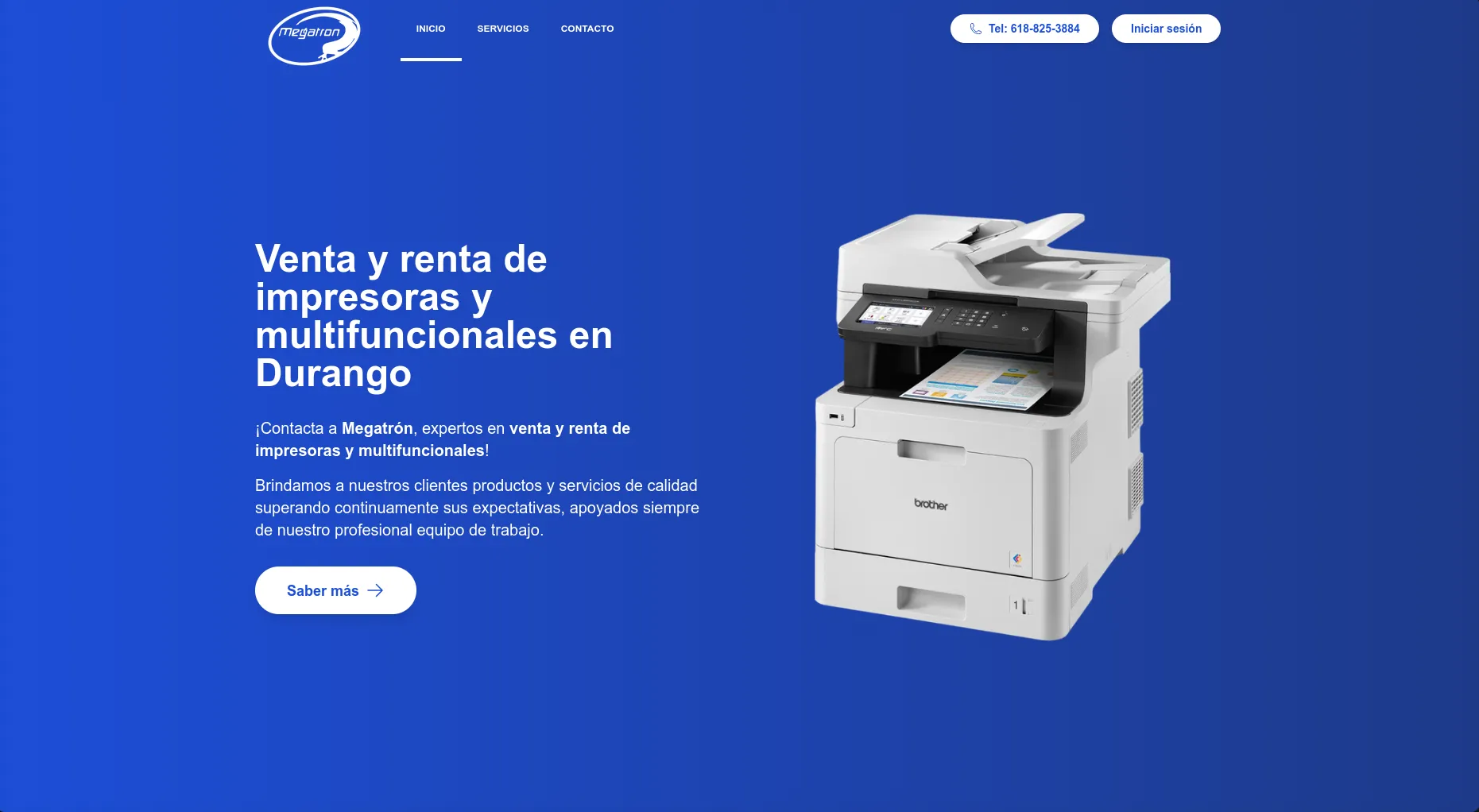 Vista de inicio del sitio web de Copimegatron